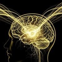 Gold leuchtende neuronale Struktur im Profil eines menschlichen Kopfes auf schwarzem Hintergrund als Symbol für Unterbewusstsein und Neuromodulation